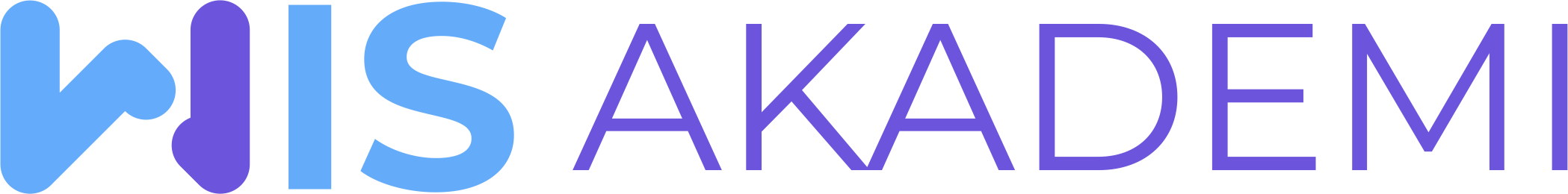 Wisakademi Logo